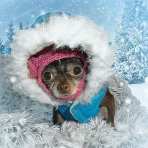 Meet your Posher, Annelin